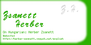 zsanett herber business card